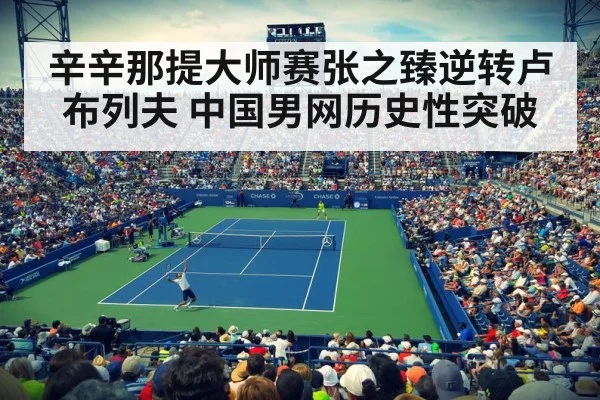professional tennis match
