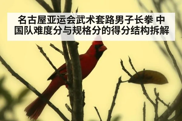 名古屋亚运会武术套路男子长拳 中国队难度分与规格分的得分结构拆解